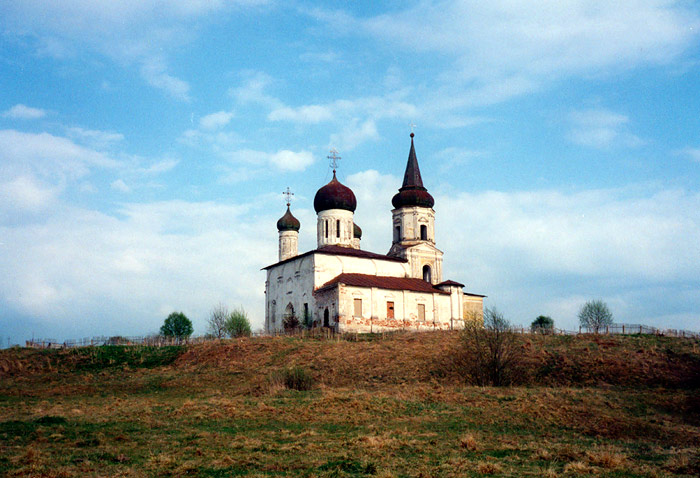 Иванищи (Иваниши). Церковь Успения Пресвятой Богородицы. общий вид в ландшафте