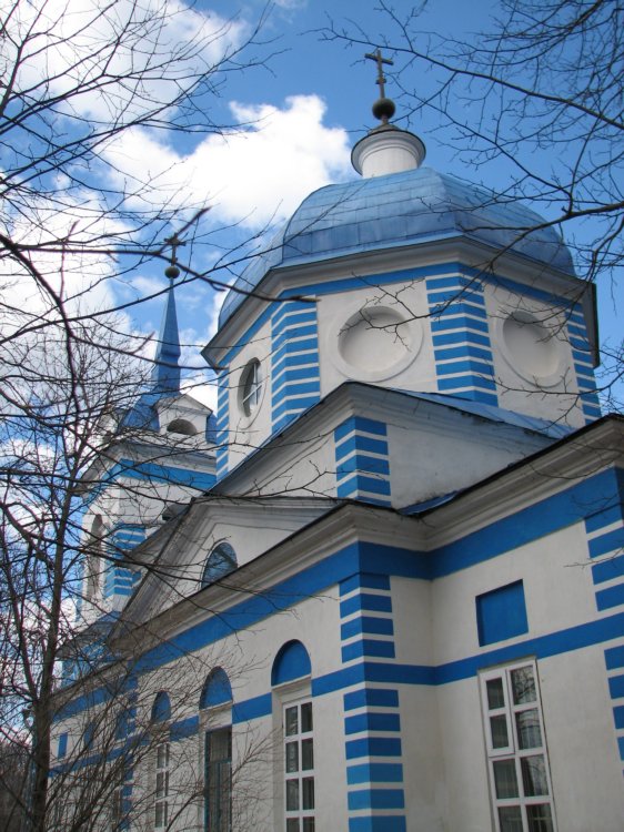 Церковь Казанской иконы Божией Матери, Хомяково (Сергиево-Посадский городской округ, Московская область). архитектурные детали, Вид со стороны кладбища