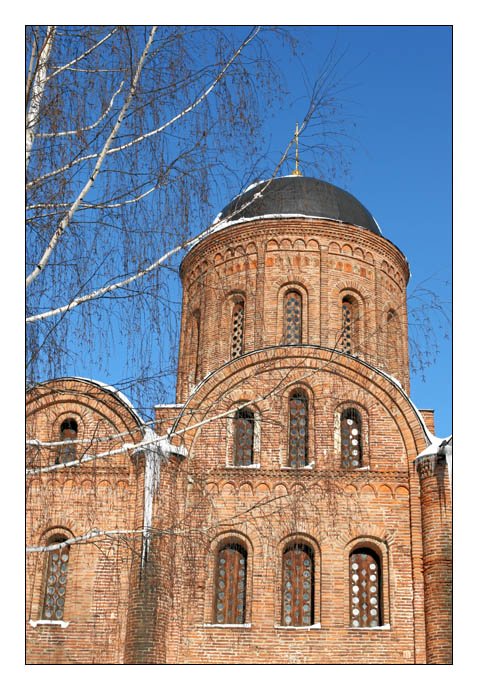 Церковь Петра и Павла на Городянке, Смоленск (Смоленск, город, Смоленская область). архитектурные детали
