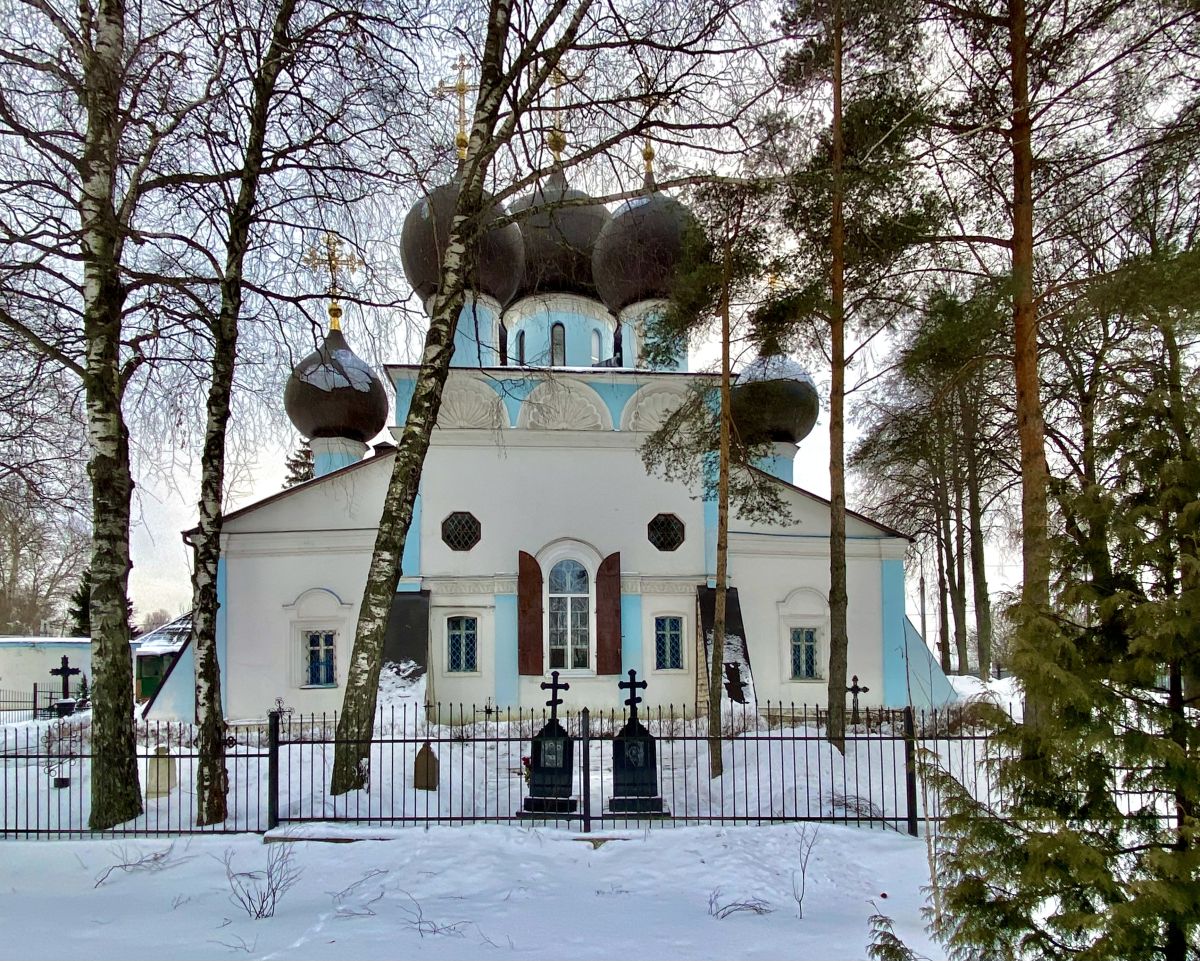 Чашниково. Церковь Троицы Живоначальной. фасады, Вид с СВ