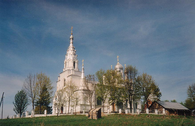 Козья Гора. Церковь Покрова Пресвятой Богородицы. общий вид в ландшафте