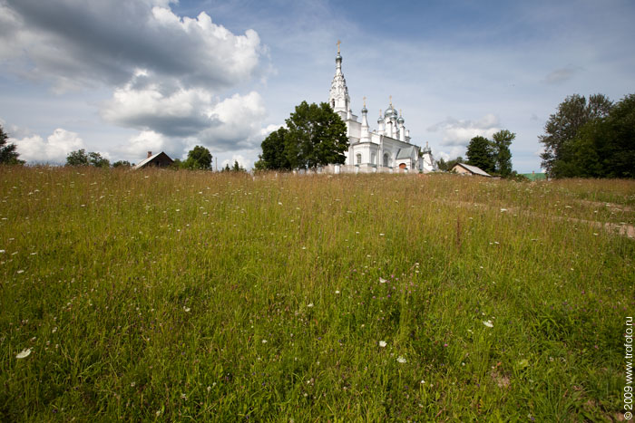 Церковь Покрова Пресвятой Богородицы, Козья Гора (Сланцевский район, Ленинградская область). общий вид в ландшафте