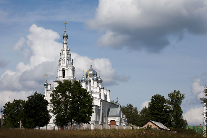 Козья Гора. Церковь Покрова Пресвятой Богородицы. общий вид в ландшафте