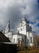 Церковь Покрова Пресвятой Богородицы, , Козья Гора, Сланцевский район, Ленинградская область