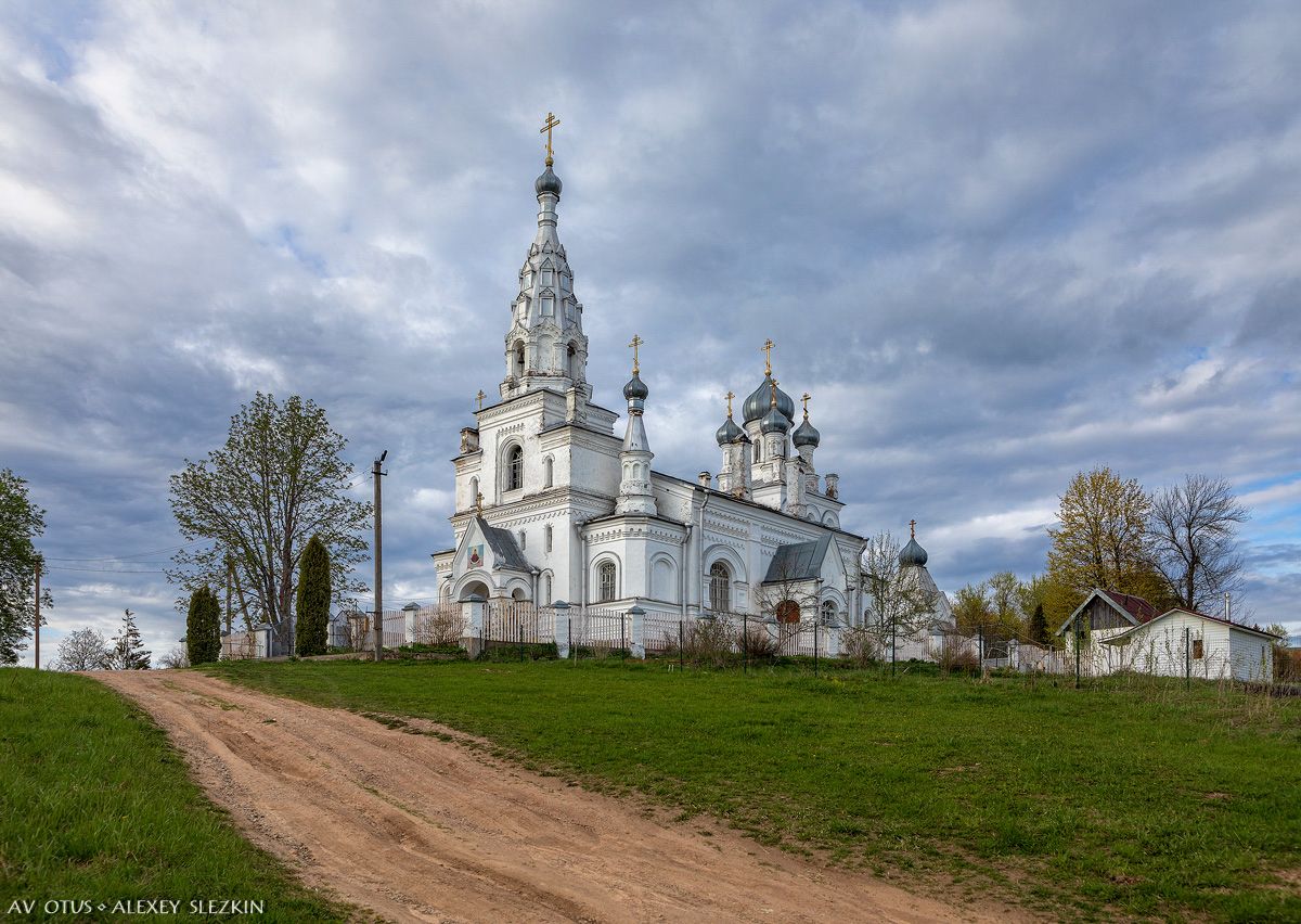 Церковь Покрова Пресвятой Богородицы, Козья Гора (Сланцевский район, Ленинградская область). общий вид в ландшафте