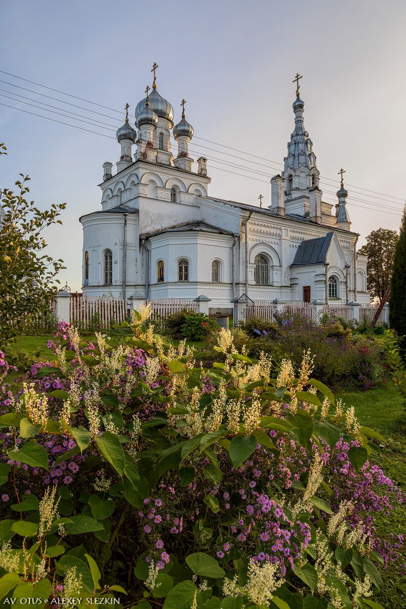 Церковь Покрова Пресвятой Богородицы, Козья Гора (Сланцевский район, Ленинградская область). художественные фотографии