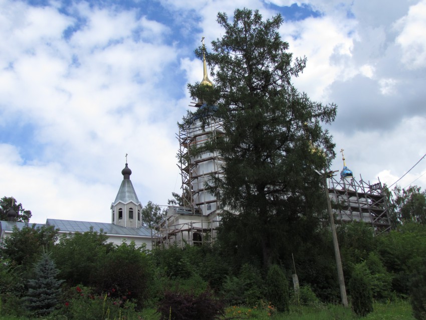 Иоанно-Богословский Череменецкий мужской монастырь, Череменец (Лужский район, Ленинградская область). общий вид в ландшафте