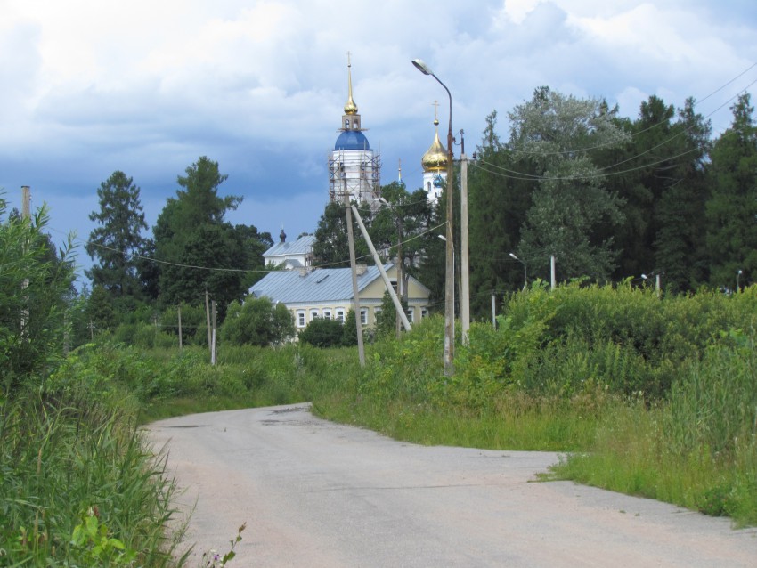 Иоанно-Богословский Череменецкий мужской монастырь, Череменец (Лужский район, Ленинградская область). общий вид в ландшафте