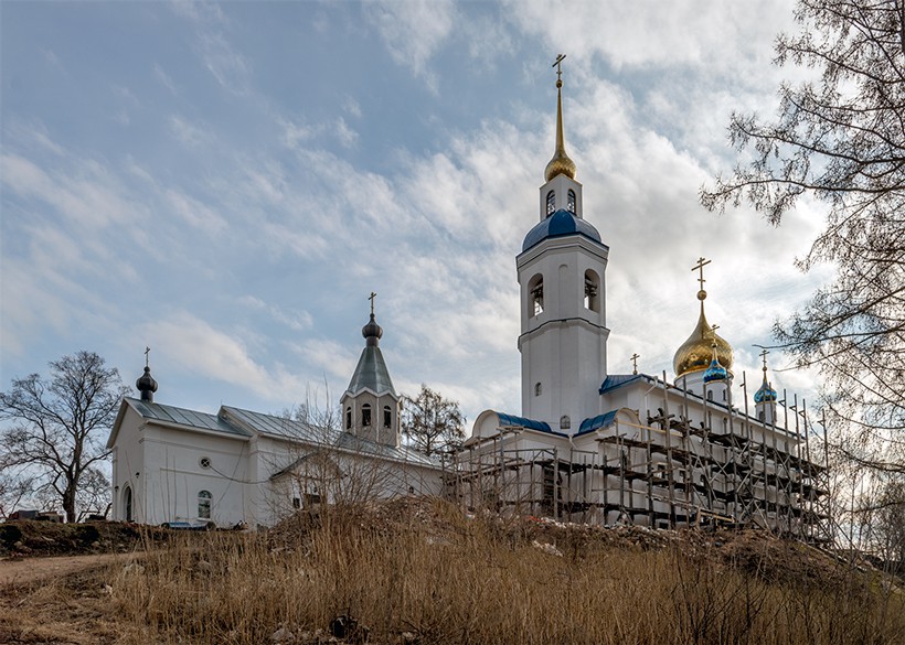 Иоанно-Богословский Череменецкий мужской монастырь, Череменец (Лужский район, Ленинградская область). архитектурные детали