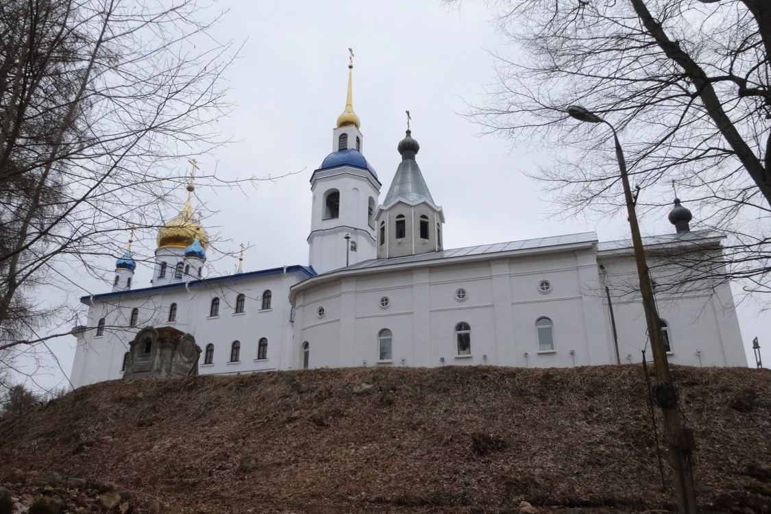 Череменец. Иоанно-Богословский Череменецкий мужской монастырь. общий вид в ландшафте, вид на храмы с севера