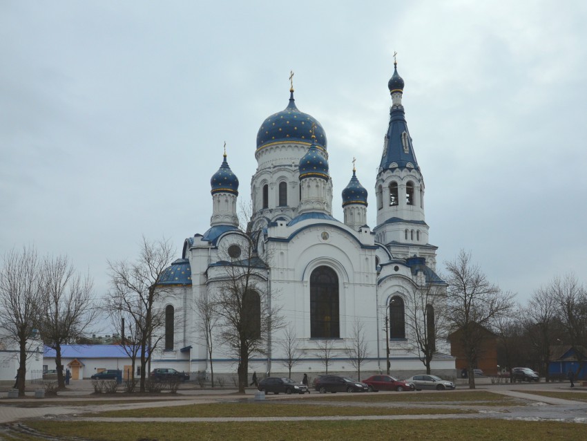 Гатчина. Собор Покрова Пресвятой Богородицы. общий вид в ландшафте