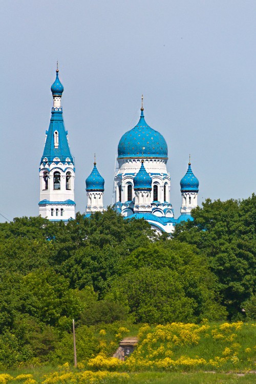 Собор Покрова Пресвятой Богородицы, Гатчина (Гатчинский район, Ленинградская область). общий вид в ландшафте