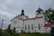 Церковь Флора и Лавра, , Клюкошицы, Лужский район, Ленинградская область