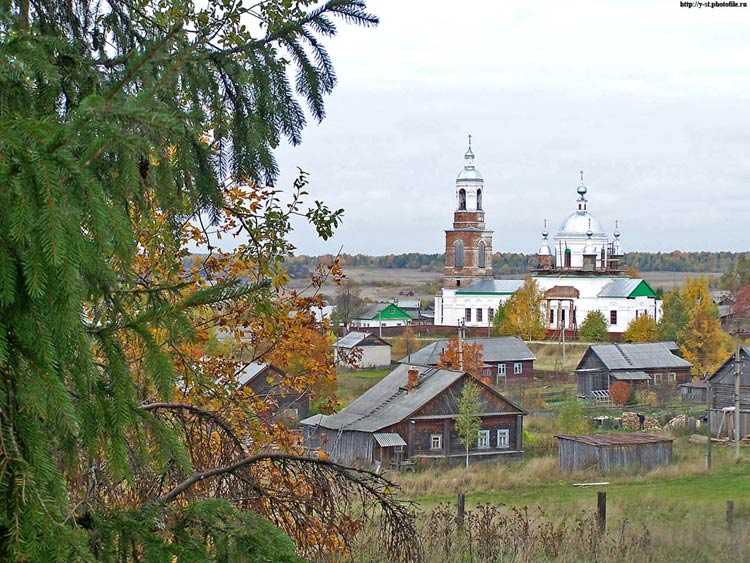Церковь Покрова Пресвятой Богородицы, Ножкино (Чухломский район, Костромская область). общий вид в ландшафте