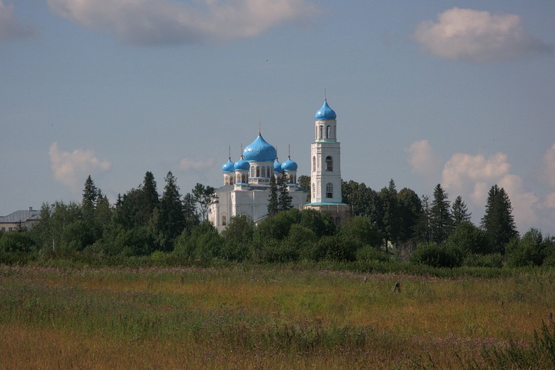 Ножкино. Покровский Авраамиево-Городецкий монастырь. общий вид в ландшафте