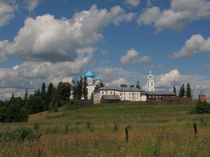 Ножкино. Покровский Авраамиево-Городецкий монастырь. общий вид в ландшафте