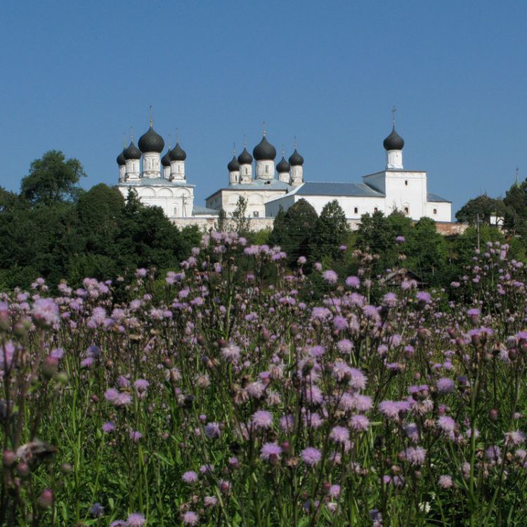 Макариев-Унженский монастырь, Макарьев (Макарьевский район, Костромская область). архитектурные детали