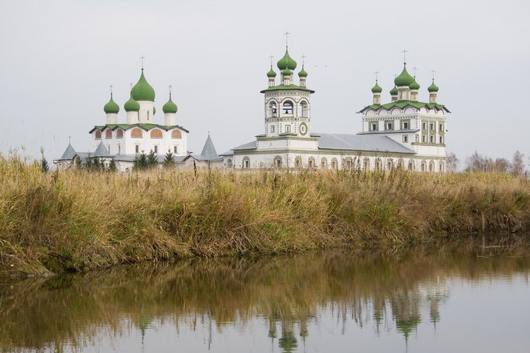 Вяжищи. Николо-Вяжищский ставропигиальный женский монастырь. общий вид в ландшафте