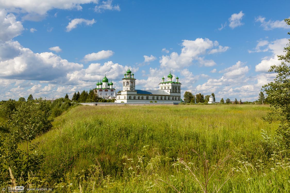 Николо-Вяжищский ставропигиальный женский монастырь, Вяжищи (Новгородский район, Новгородская область). общий вид в ландшафте