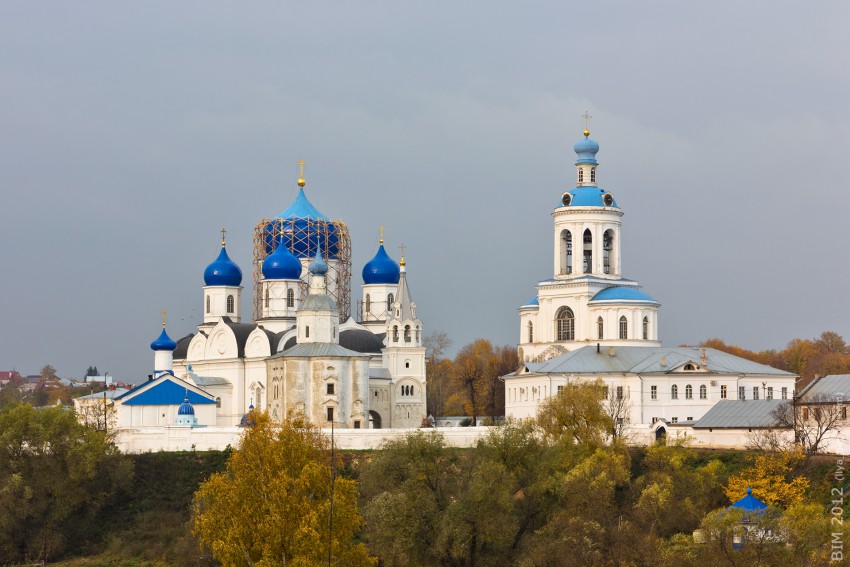 Боголюбово. Боголюбский женский монастырь. общий вид в ландшафте