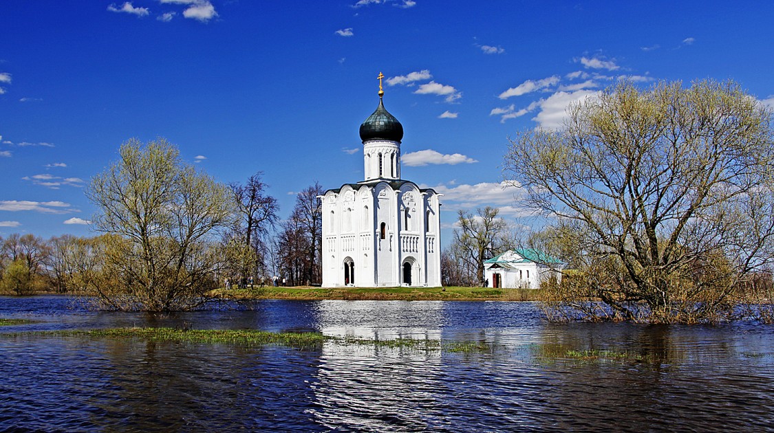 Боголюбово. Церковь Покрова Пресвятой Богородицы на Нерли. общий вид в ландшафте