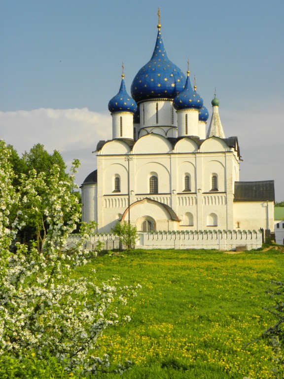 Собор в суздале