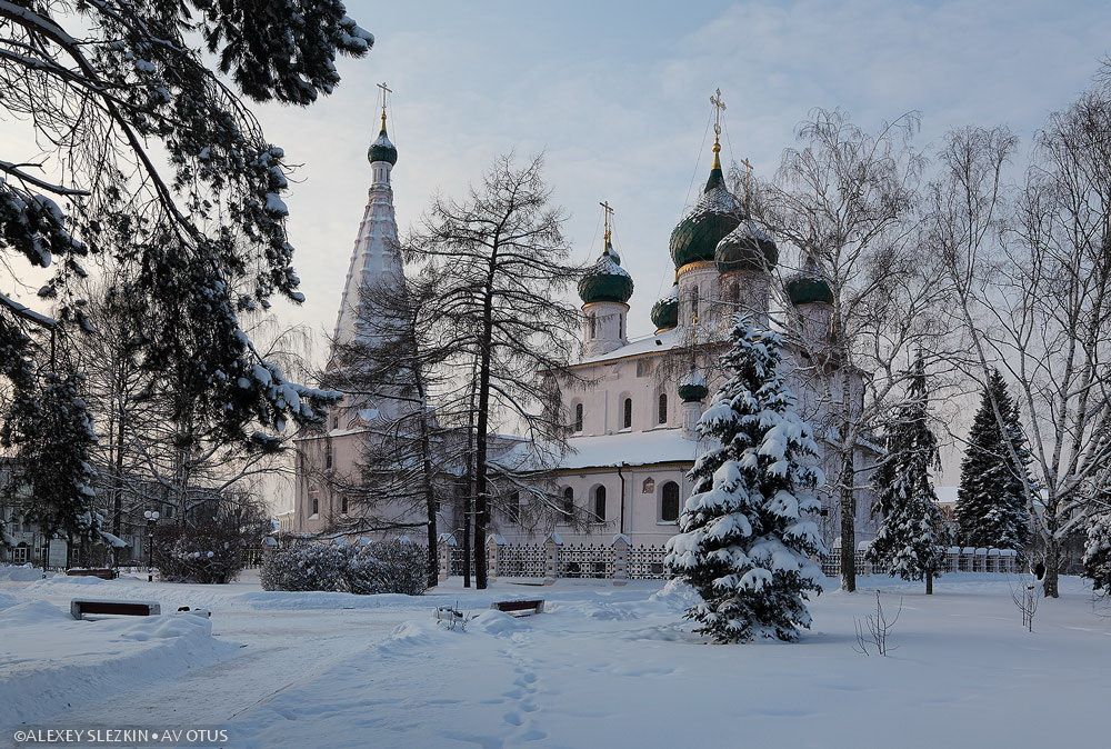 Церковь Илии Пророка, Ярославль (Ярославль, город, Ярославская область). общий вид в ландшафте