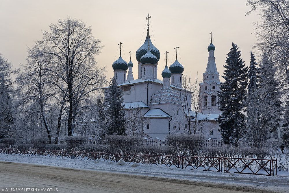 Церковь Илии Пророка, Ярославль (Ярославль, город, Ярославская область). общий вид в ландшафте