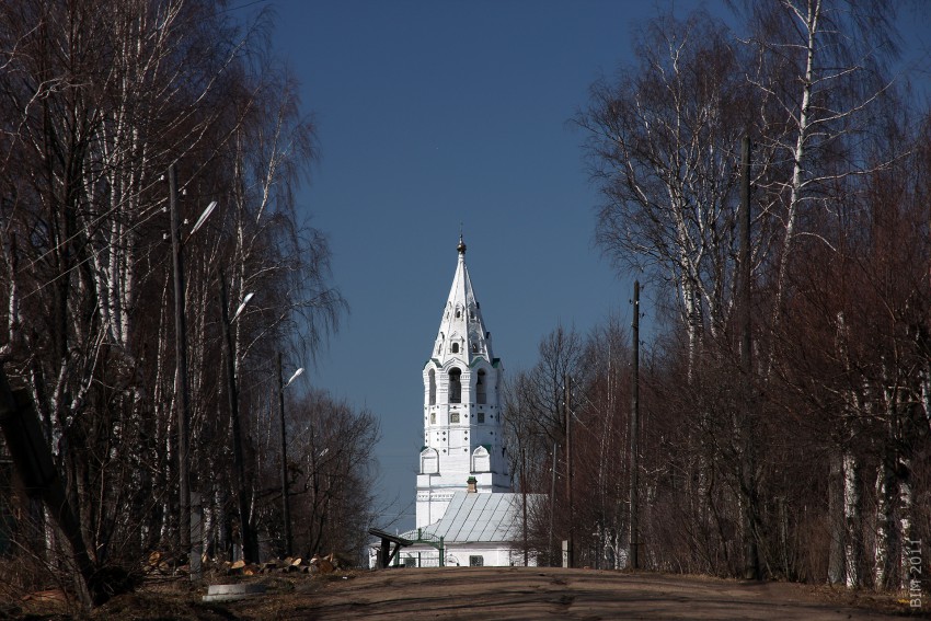 Церковь Покрова Пресвятой Богородицы, Тутаев (Тутаевский район, Ярославская область). общий вид в ландшафте