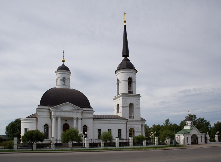 Церковь Рождества Христова, Череповец (Череповец, город, Вологодская область). фасады, Вид с Парковой улицы