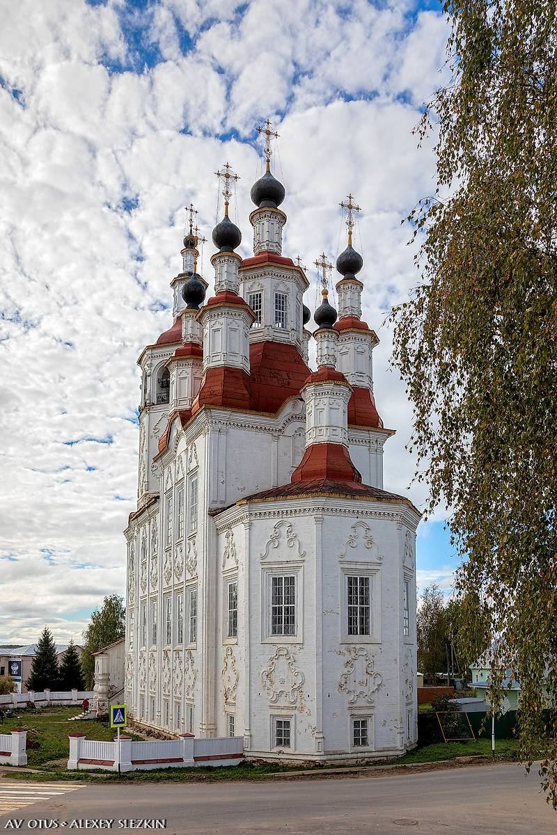 Вид с пожарной лестницы, фасады. Церковь Входа Господня в Иерусалим, Тотьма (Тотемский район, Вологодская область)