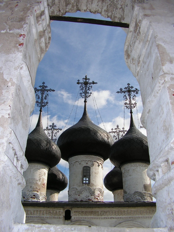 Церковь Спаса Всемилостивого, Белозерск (Белозерский район, Вологодская область). архитектурные детали