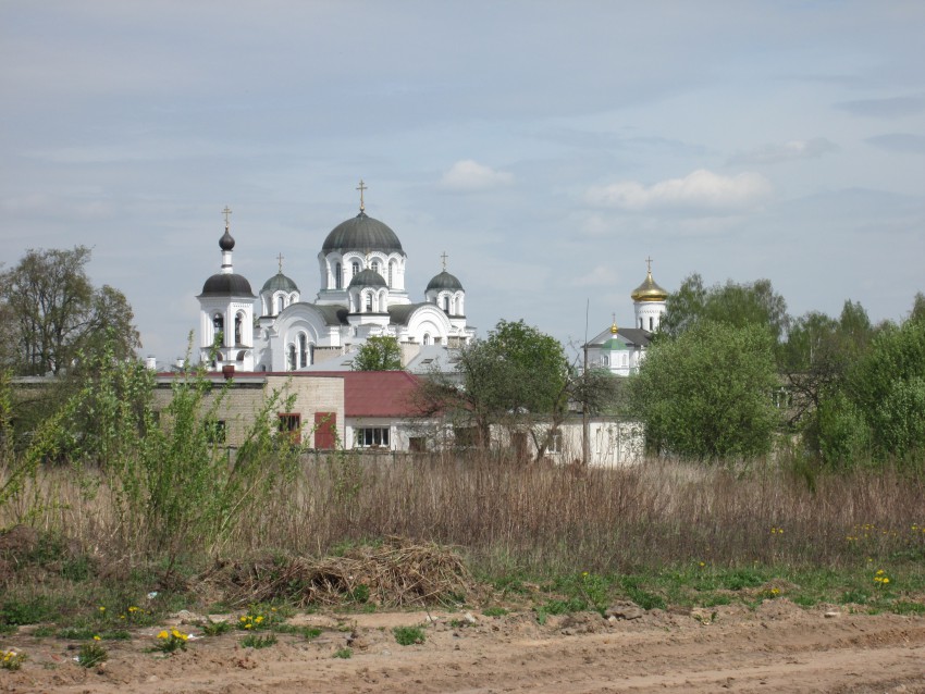 Полоцк. Спасо-Евфросиниевский женский монастырь. общий вид в ландшафте