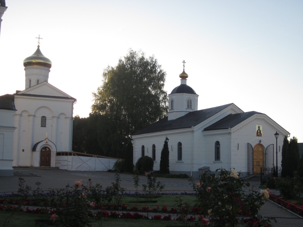 Спасо-Евфросиниевский женский монастырь, Полоцк (Полоцкий район и г. Полоцк, Беларусь, Витебская область). общий вид в ландшафте