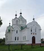 Церковь Илии Пророка, , Бешенковичи, Бешенковичский район, Беларусь, Витебская область