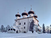 Каргополь. Рождества Христова, собор