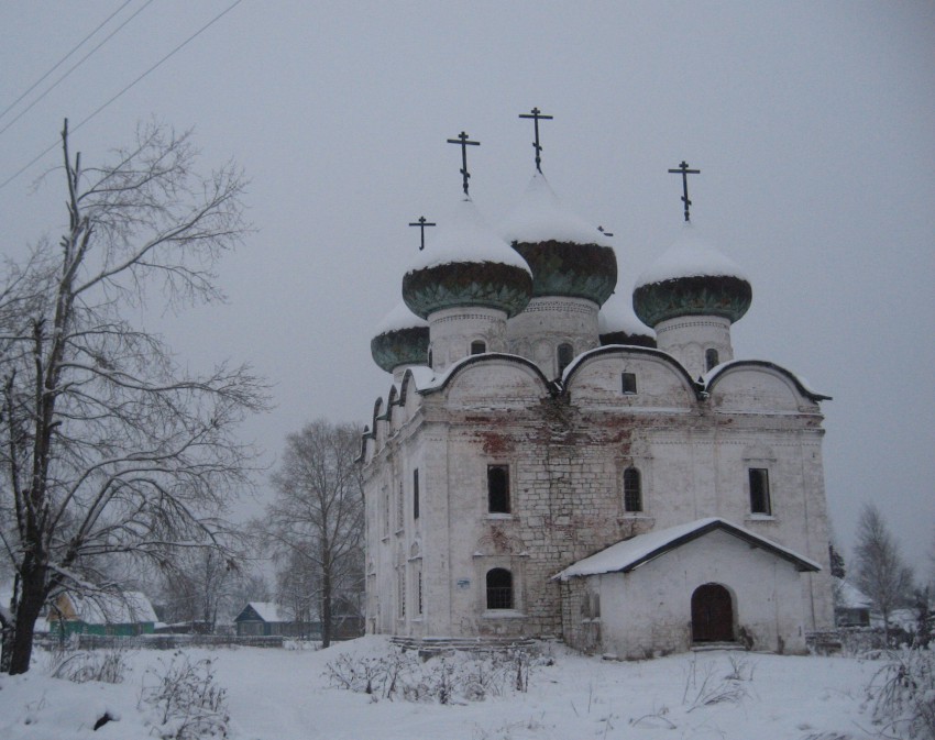 Церковь Воскресения Христова, Каргополь (Каргопольский район, Архангельская область). фасады, Обший вид с северо-запада