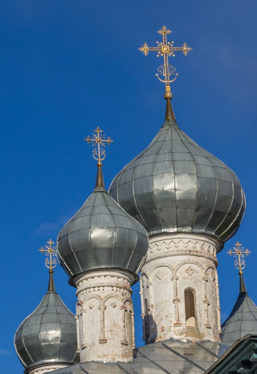 Каргополь. Церковь Рождества Пресвятой Богородицы. архитектурные детали, Главы