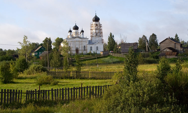 Церковь Троицы Живоначальной, Ямская Слобода (Крестецкий район, Новгородская область). общий вид в ландшафте