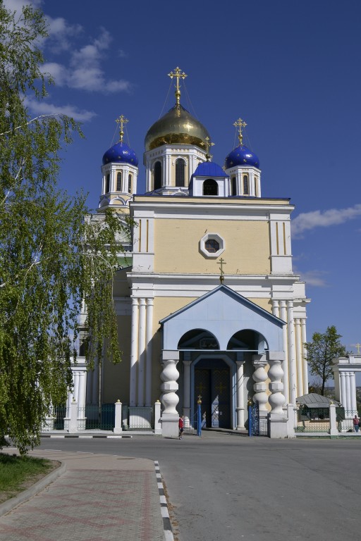 Кафедральный собор Вознесения Господня, Елец (Елецкий район и г. Елец, Липецкая область). фасады