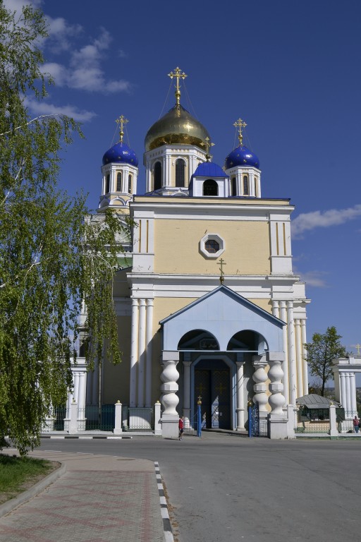 Елец. Кафедральный собор Вознесения Господня. фасады