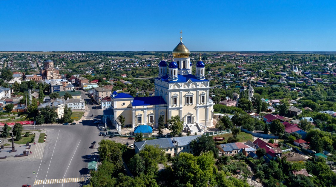 Елец. Кафедральный собор Вознесения Господня. общий вид в ландшафте