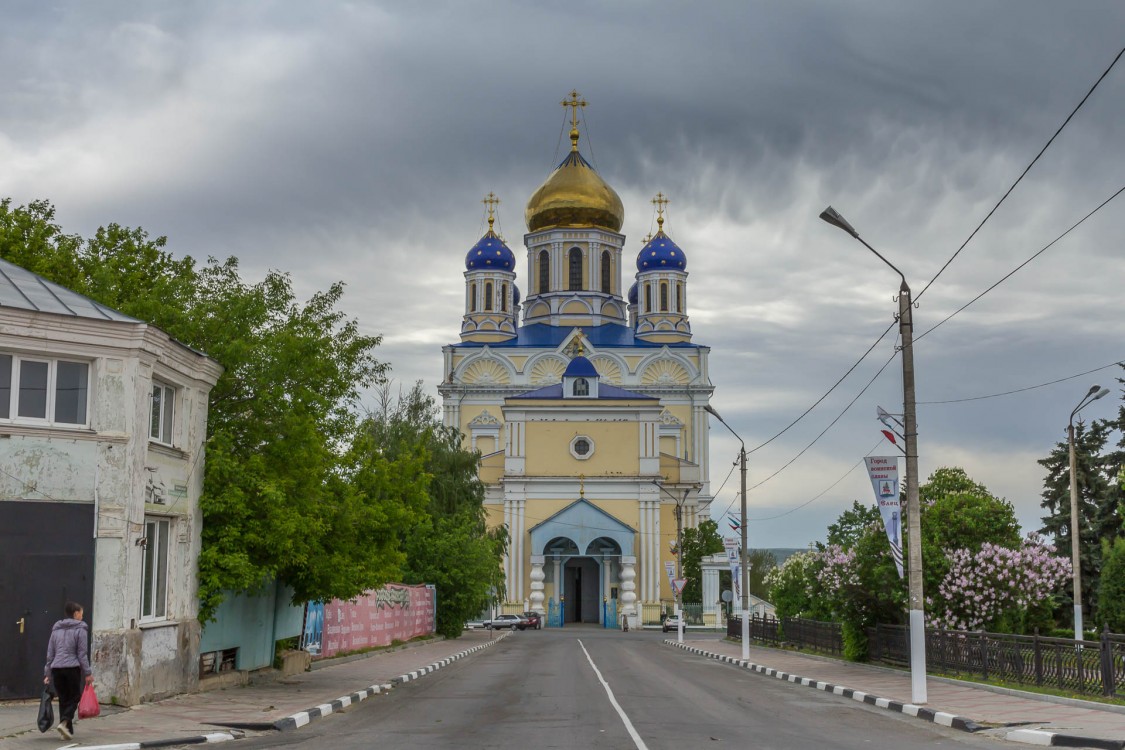 Елец. Кафедральный собор Вознесения Господня. фасады, Вид с запада