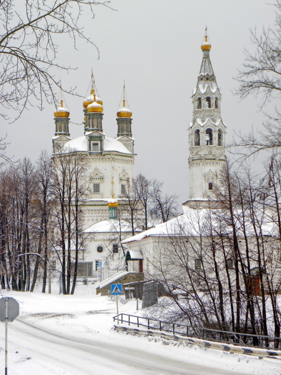 Собор Троицы Живоначальной, Верхотурье (Верхотурский район (ГО Верхотурский), Свердловская область). общий вид в ландшафте