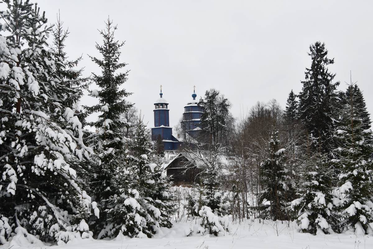 общий вид в ландшафте. Церковь Сретения Господня, Пески (Шаховской городской округ, Московская область)
