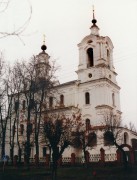 Церковь Троицы Живоначальной (Тихвинская), , Дмитров, Дмитровский городской округ, Московская область