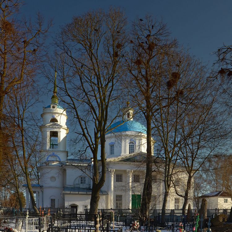 Церковь Рождества Христова, Михалёво (Воскресенский городской округ, Московская область). общий вид в ландшафте