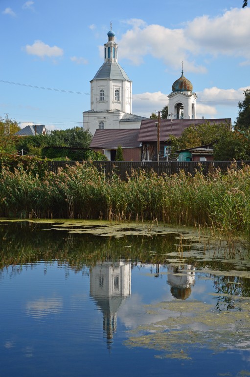 Церковь Владимирской иконы Божией Матери, Осташово (Воскресенский городской округ, Московская область). общий вид в ландшафте