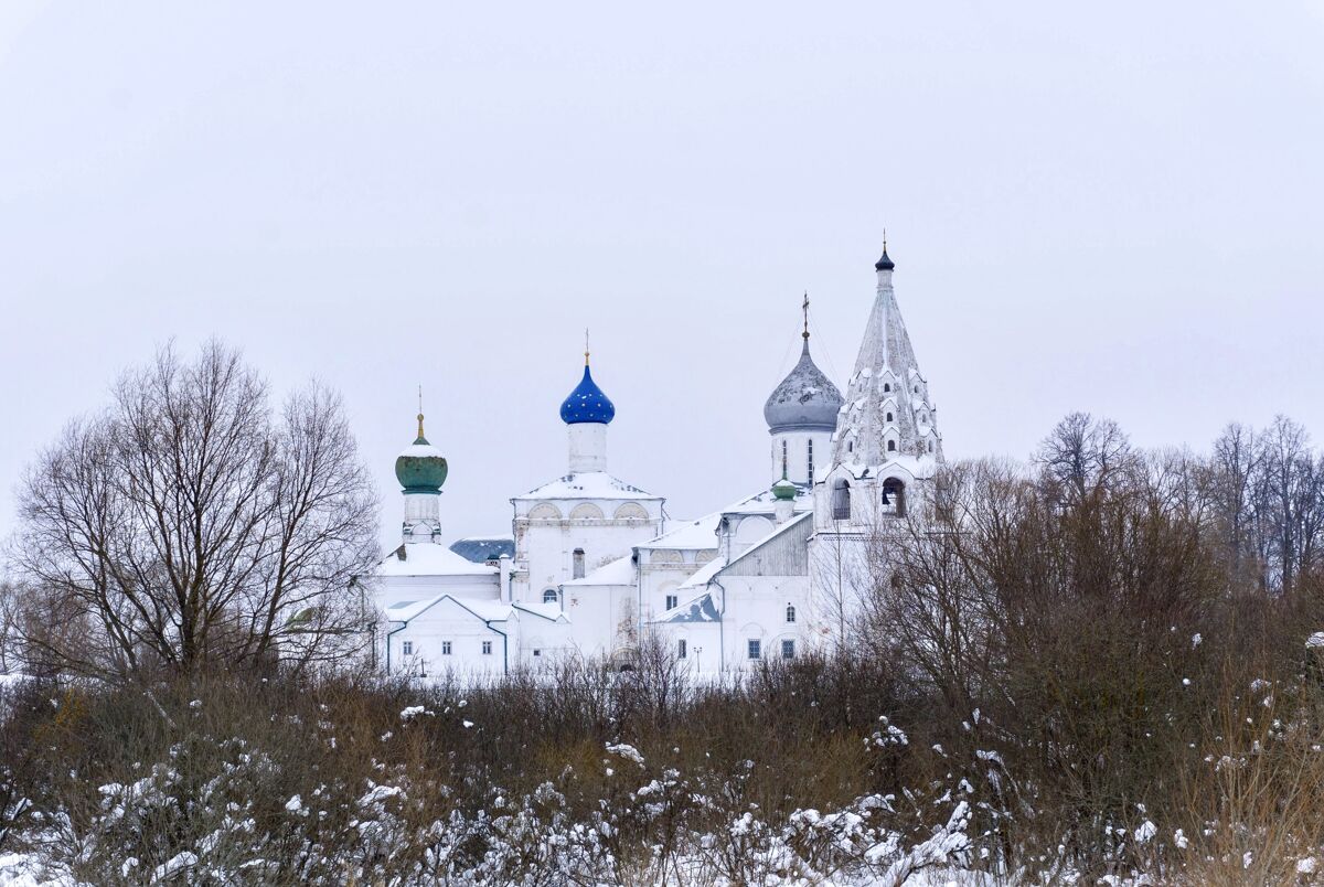 Троицкий Данилов монастырь, Переславль-Залесский (Переславский район и г. Переславль-Залесский, Ярославская область). фасады