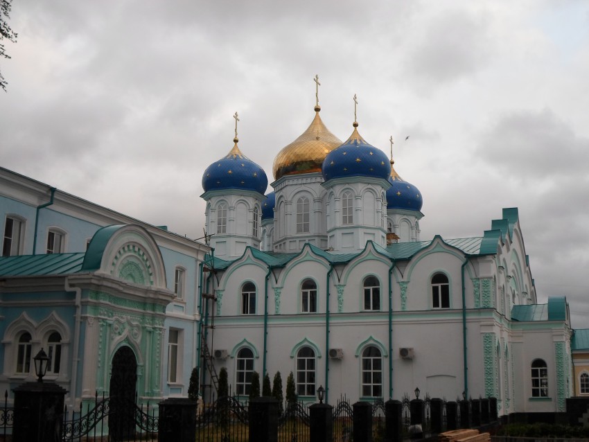 Задонск. Задонский Рождество-Богородицкий мужской монастырь. фасады